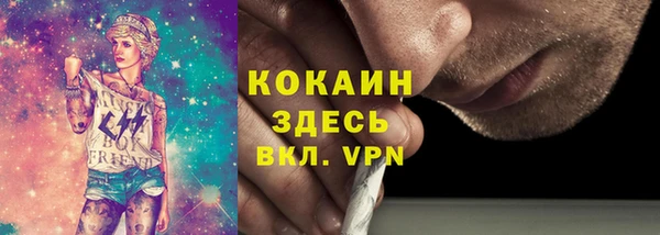 сатива Горно-Алтайск