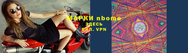 прущие грибы Горнозаводск
