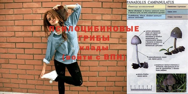 герыч Горняк