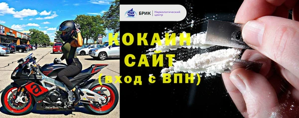 прущие грибы Горнозаводск