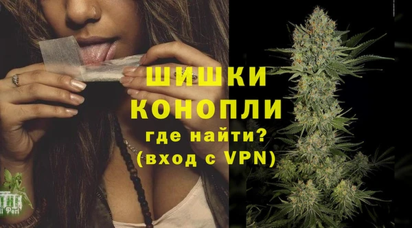 сатива Горно-Алтайск