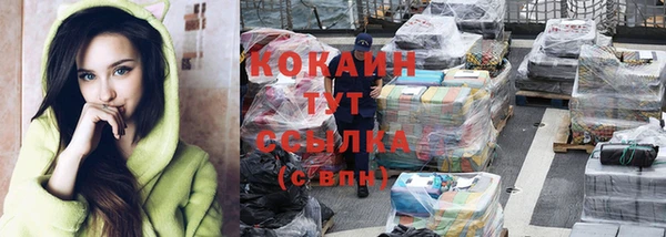 сатива Горно-Алтайск