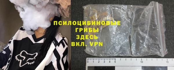 прущие грибы Горнозаводск