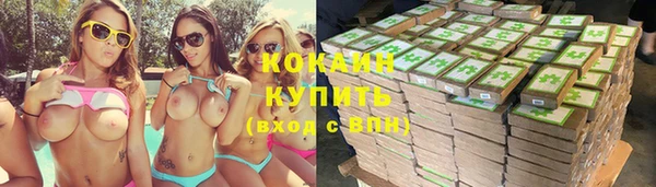сатива Горно-Алтайск