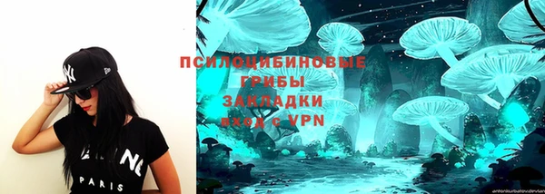 прущие грибы Горнозаводск