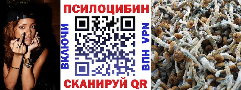 Купить где  Талица  Галлюциногенные грибы GOLDEN TEACHER 