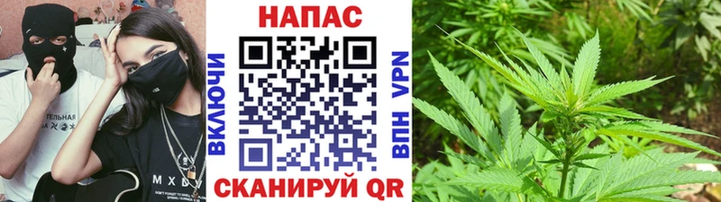 МАРИХУАНА MAZAR  Купить где  Талица 